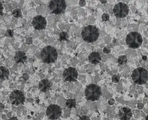 Spheroidal graphite cast iron Spheroidal graphite cast iron
