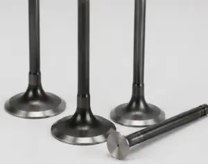 exhaust valve exhaust valve
