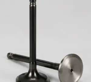exhaust valve exhaust valve