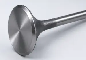 intake valve intake valve