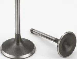 intake valve 