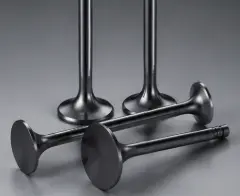 intake valves (1)