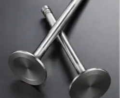 intake valves
